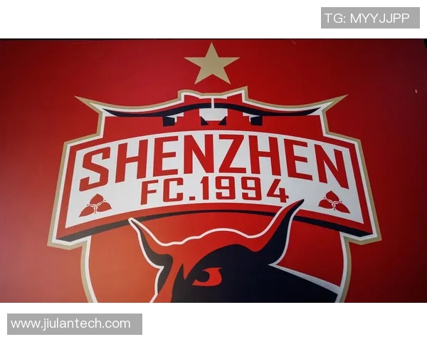 深圳羽毛球队崛起之路全国锦标赛特别报道见证成长与辉煌